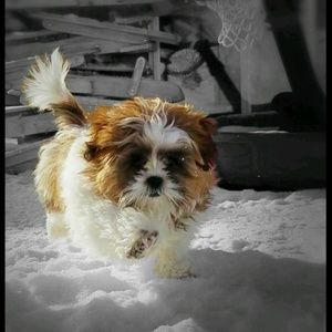 Meet your Posher, Jill